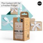OTOTO Fridge Deodorizer - Cute Baking Soda Holder