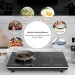 VBGK 2-Burner Induction Cooktop with Timer