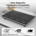 VBGK 2-Burner Induction Cooktop with Timer