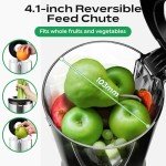 Bear Slow Cold Press Juicer with Large Chute
