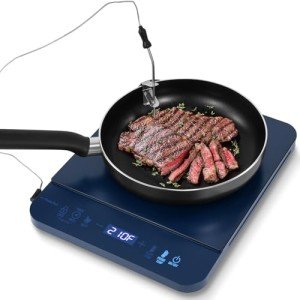 Portable Induction Cooktop with Digital Temperature Control