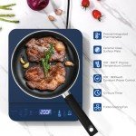 Portable Induction Cooktop with Digital Temperature Control