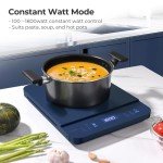 Portable Induction Cooktop with Digital Temperature Control