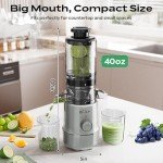 Bear Slow Cold Press Juicer with Large Chute
