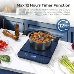 Portable Induction Cooktop with Digital Temperature Control