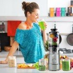 Bear Slow Cold Press Juicer with Large Chute
