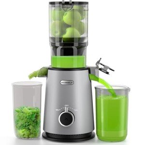 ECOSELF Slow Masticating Cold Press Juicer