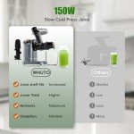 WHUTO Cold Press Masticating Juicer - Gold