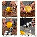 Monkkino Stainless Steel Lemon Squeezer and Zester