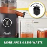 Omega Slow Masticating Juicer with 64-Ounce Hopper