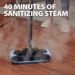Wagner 915e On-Demand Steam Cleaner with Attachments