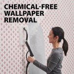 Wagner 915e On-Demand Steam Cleaner with Attachments