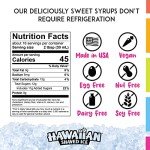 Hawaiian Shaved Ice Maker Kit for Kids