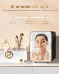 Cute Mini Makeup Fridge with LED Mirror Light