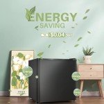 Kismile 1.6 Cu.ft Mini Fridge with Freezer