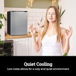 Igloo 2.6 Cu.Ft. Compact Refrigerator with Freezer