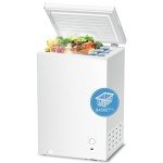 R.W.FLAME 2.8 Cu Ft Chest Freezer with Basket