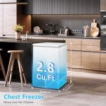 R.W.FLAME 2.8 Cu Ft Chest Freezer with Basket