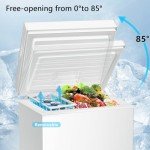 R.W.FLAME 2.8 Cu Ft Chest Freezer with Basket