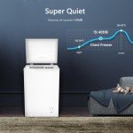 R.W.FLAME 2.8 Cu Ft Chest Freezer with Basket