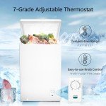 R.W.FLAME 2.8 Cu Ft Chest Freezer with Basket