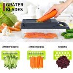 10-in-1 Professional Vegetable and Onion Chopper