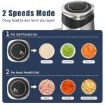 Electric Food Processor & Vegetable Chopper - 500W