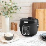 Aroma Professional 10-Cup Slow Cooker, Black
