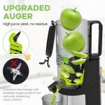 350W Cold Press Masticating Juicer with Large Chute