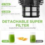350W Cold Press Masticating Juicer with Large Chute