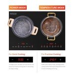 Empava 2-Burner Induction Cooktop with Glass Top