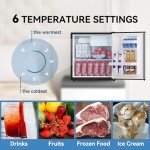 Frestec 1.7 Cu.Ft Compact Mini Fridge & Freezer