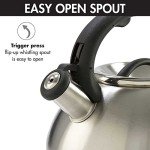 Primula Avalon Whistling 2.5-Quart Tea Kettle