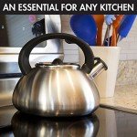 Primula Avalon Whistling 2.5-Quart Tea Kettle