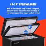 DEMULLER 5.0 Cu.Ft. Compact Chest Freezer