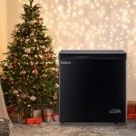 DEMULLER 5.0 Cu.Ft. Compact Chest Freezer