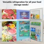 Smad Off-Grid Propane Refrigerator with Top Freezer