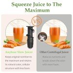 Anybear Cold Press Masticating Juicer Machine