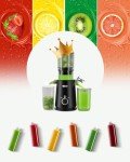 ECOSELF Cold Press Juicer with Large Feed Chute
