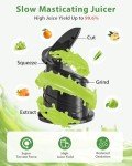 ECOSELF Cold Press Juicer with Large Feed Chute