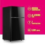 Compact Dual Door Mini Fridge with Freezer - Black