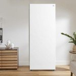 Kenmore 7 Cu Ft Convertible Upright Freezer/Fridge