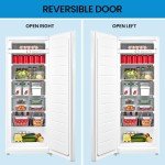 Kenmore 7 Cu Ft Convertible Upright Freezer/Fridge