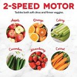 Dash Compact 2-Speed Juicer with 2" Feed Chute