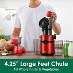 Fretta Nifty Cold Press Juicer - Easy Clean, BPA Free