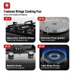 Gasland 12 Inch 2 Burner Gas Cooktop