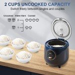 Bear Mini Rice Cooker 2 Cups, Portable, Non-Stick