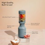 Beast Mini Blender for Smoothies and Sauces