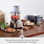 Breville Paradice 16-Cup Food Processor in Stainless Steel