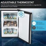 Whynter 2.1 Cu Ft Energy Star Upright Freezer